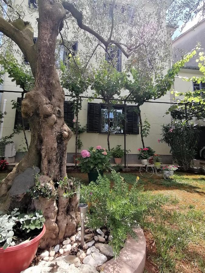 Apartment Oliva Pola Esterno foto