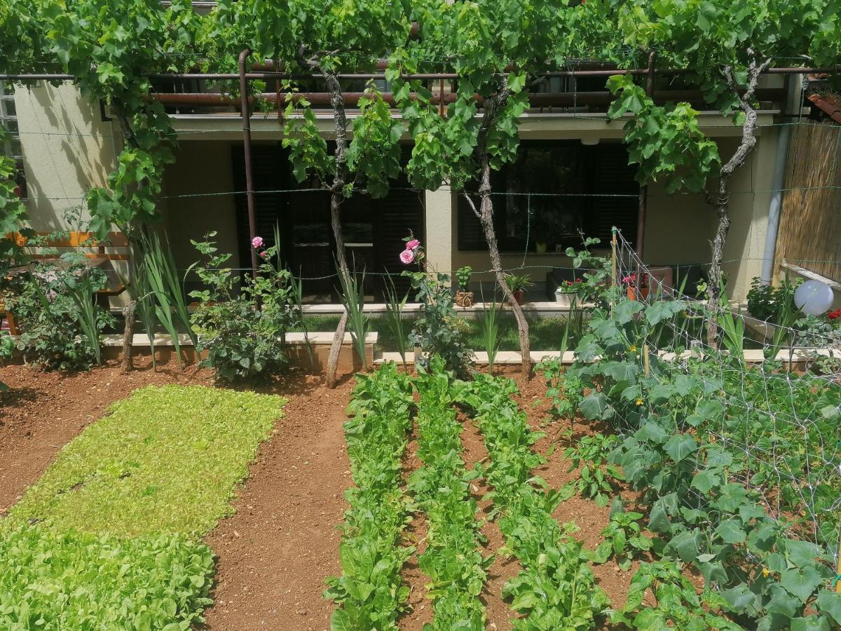 Apartment Oliva Pola Esterno foto